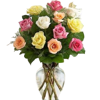 15 multi-colored roses | Flower Delivery Vladimir